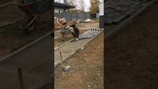 Landscaping in 5 days👍work construction pavers builder satisfying diy paverblocks garden [upl. by Cope]