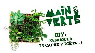 Main Verte  DIY  fabriquer un cadre végétal [upl. by Bonnell]