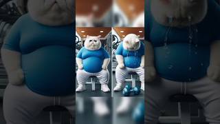 how does a fat cat lose weight lovecats cat shorts meow [upl. by Sima]