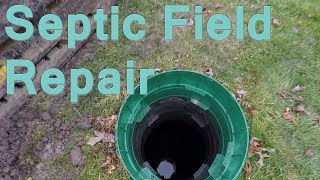 Septic Field Restoration [upl. by Sucramej]