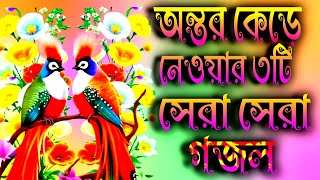 অন্তর কেড়ে নেওয়ার ৩টি গজল ontor kyde nuar 3te posnder gojol [upl. by Derina]