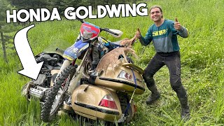 Honda GOLDWING Off Roading [upl. by Malin]