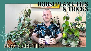 Care Tips For Hoyas  Houseplant Tips amp Tricks Ep 21 [upl. by Travis177]