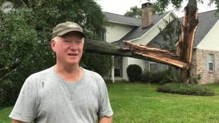 Storm topples tree in Gulfport [upl. by Yelmene]