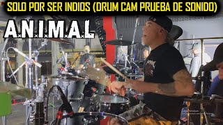 🚨 ANIMAL  Solo Por Ser Indios Marcelo Castro Drum Cam Prueba De Sonido Auditorio Oeste 🥁 [upl. by Penney]