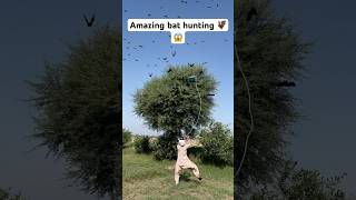 Amazing bat hunting 🦇😱 birds birdhunting hunting shorts youtubeshorts trendingshorts [upl. by Ammann]