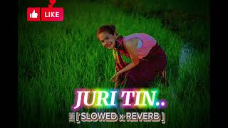 JURI TIN  SLOWED x REVERB  SANTHALI LOFI LOFILOVER015 [upl. by Ellemrac]