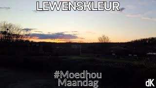 die Kerk  Oordenking  Moedhou Maandag  Lewenskleur  Ds Andre Harmzen [upl. by Frederic13]