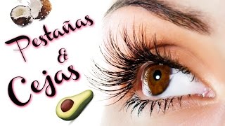 Pestañas y Cejas mas largaspobladas con remedio casero super Facil [upl. by Letrice773]