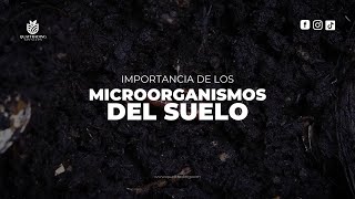 IMPORTANCIA DE LOS MICROORGANISMOS DEL SUELO  QUATTRADING SERVICES [upl. by Leonanie]