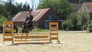 Azubi Lea springt letzten Parcours vor der Prüfung  Ingrid Klimke offenes Training [upl. by Karla]