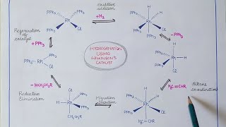 Wilkinsons catalyst  Hydrogenation of alkenes [upl. by Aden755]