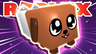 HOW TO GET THE RAREST DOGCAT PET IN ROBLOX BUBBLEGUM SIMULATOR [upl. by Dunton]