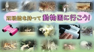 双眼鏡を持って動物園に行こう！ [upl. by Russian666]