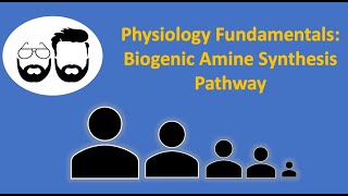 Physiology Fundamentals Biogenic Amine Synthesis Pathway [upl. by Ahsiema608]