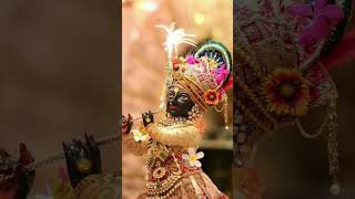 shyam aaon bse vrindavan mai❤❤❤😍radhekrishnastatus shortsviralvideostrending [upl. by Racso679]