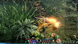 Lost Ark Elzowin Server Obvious Bot Farming [upl. by Pippo930]