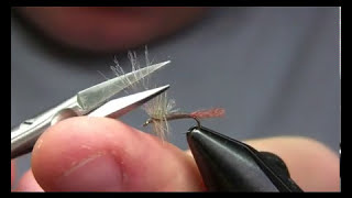 Gray Haze Cripple Mayfly Cripple  Yellowstone Country Fly Fishing [upl. by Eckart494]