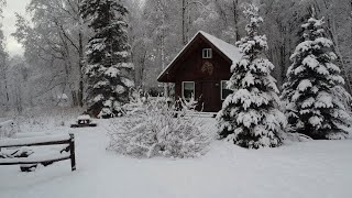 Homestead Life in Alaska  Winter Arrives  Nordland 49 [upl. by Enilatan]