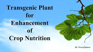 Nutritional enhancement of crops by transgenic plants  Improvement of food quality by transgenesis [upl. by Bridwell157]