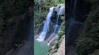 Gozalandia paradise in Puerto Rico waterfall turismo puertorico travel [upl. by Nitsrek]