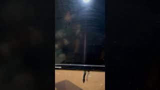 Samsung TV Startup and Shutdown Sounds Old vs New [upl. by Derte640]