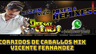 CORRIDOS DE CABALLOS MIX CONEJO DJ MIXES VICENTEFERNANDEZ [upl. by Leif720]