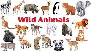 Wild animal names  Wild animals vocabulary  wild animal for kids animals english [upl. by Pincas]