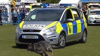 Eastbourne 999 2016  Surrey amp Sussex Police Dog Section Demonstration [upl. by Bambi]