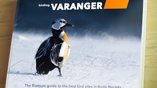 Birding Varanger guide book story [upl. by Nerhtak]