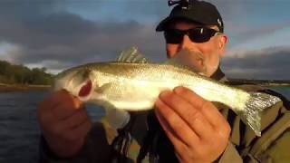 Trip 34  Kayak fishing in Scotland  Bait catcher [upl. by Acemaj]