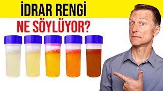 İdrarınız size ne söylüyor  DrBerg Türkçe [upl. by Ynoble]