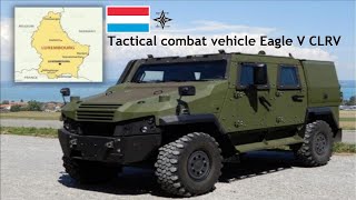 Luxembourg wholesale 80 Tactical combat vehicle Eagle V CLRV from GDELS [upl. by Elleinaj]