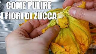 Come pulire i fiori di zucca [upl. by Wincer]