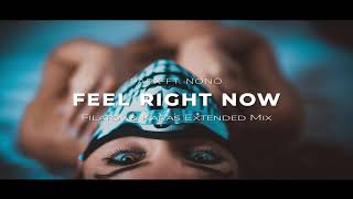 PARX ft Nonô  Feel Right Now Filatov amp Karas Extended Mix [upl. by Mehcanem]