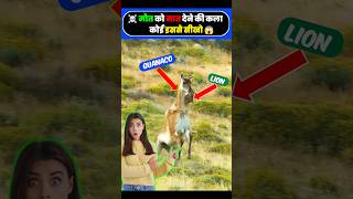 ☠️ मौत को मात देने की तकनीक तो कोई इससे सीखे 😱। lion vs guanaco।shorts [upl. by Yelknirb996]