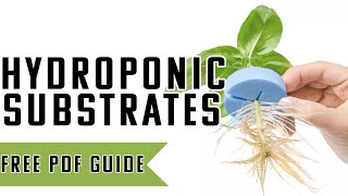 A SIMPLE Guide To Hydroponic Growth Medians  What Is the best way to start your plants [upl. by Andria]