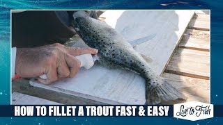 How to Fillet a Spotted Trout Fast amp Easy Method [upl. by Lydell]