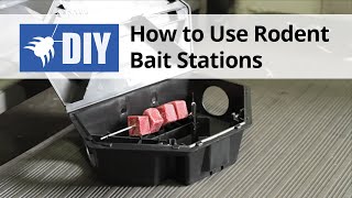 How to Use Rodent Bait Stations [upl. by Jule681]