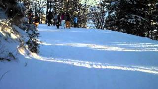 Skibike fahren auf dem Belchen [upl. by Lauri834]