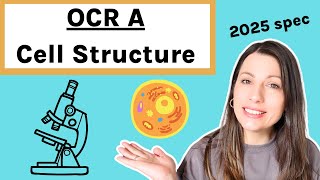 Cell Structure Topic 211 OCR A Alevel Biology  Cell Structure amp Function  Microscopes [upl. by Senalda]