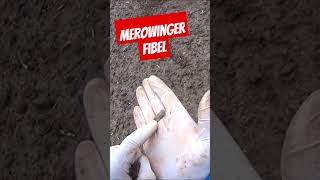 Merowinger Fibel metaldetecting treasurehunting sondeln merovingian fibula [upl. by Wordoow]