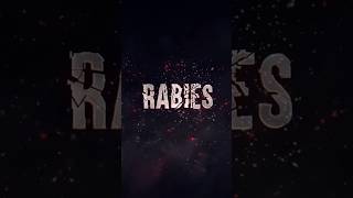 Rabies Signs to Watch Out For and What to Avoid Shorts [upl. by Aurelius]