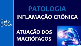 Inflamação Crônica  Atuação dos Macrófagos e Inflamação Granulomatosa Patologia Geral [upl. by Gent]