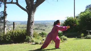 Shibashi  18 form with instruction  Tai Chi  Qigong [upl. by Baram]