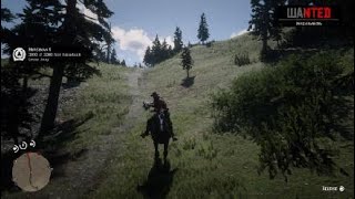 Red Dead Redemption 2 Horseman Challenge 4 [upl. by Hourihan]