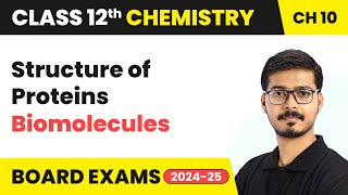 Structure of Proteins  Biomolecules  Class 12 Chemistry Chapter 10  CBSE 202425 [upl. by Cyrillus]