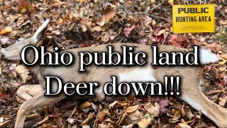 FIRST PUBLIC DEER  OHIO DEER HUNTING [upl. by Aroc849]