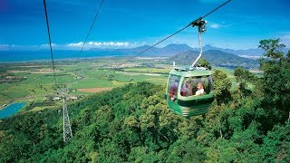 Skyrail Rainforest Cableway Day Trip from Cairns Australia [upl. by Ativla]