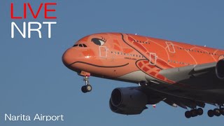 【LIVE】2413 成田空港 NARITA AIRPORT plane spotting [upl. by Aneroc]